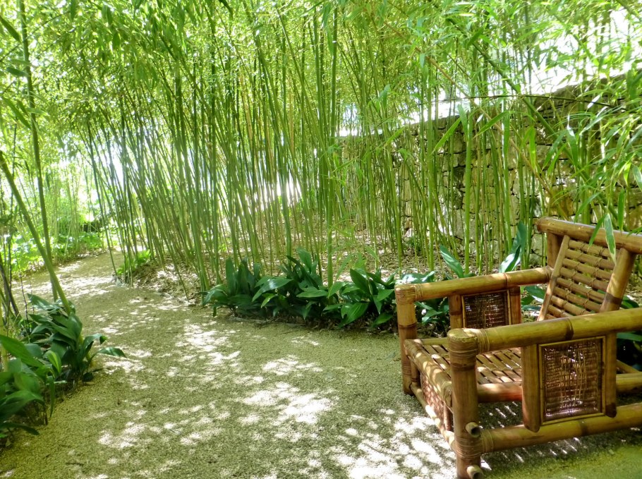 Бамбук в садах Японии