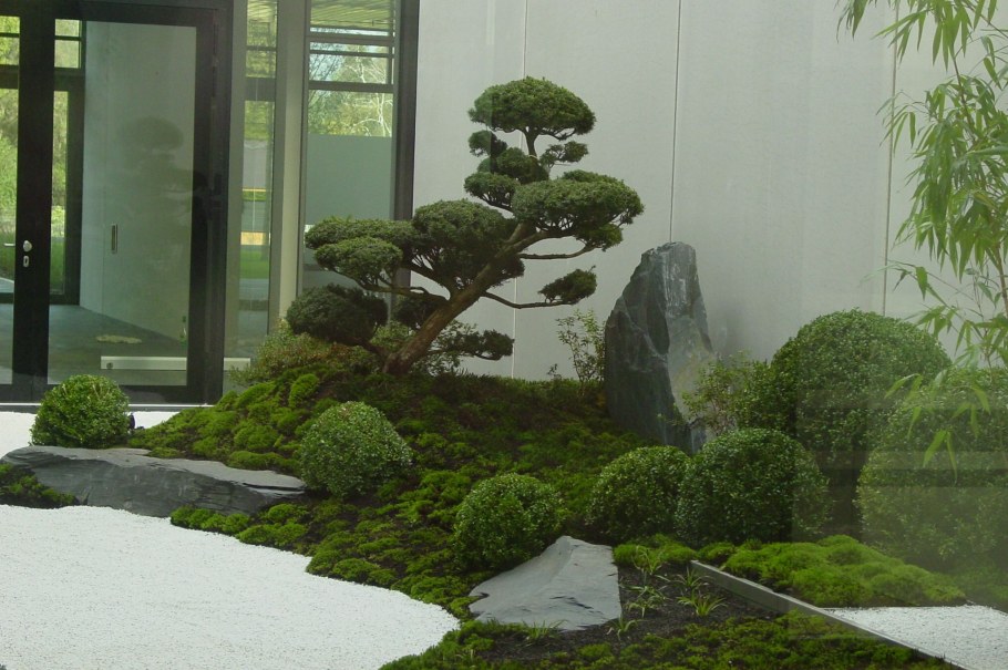 Ниваки японский ландшафт