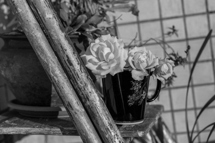 Черно белые фото предметов