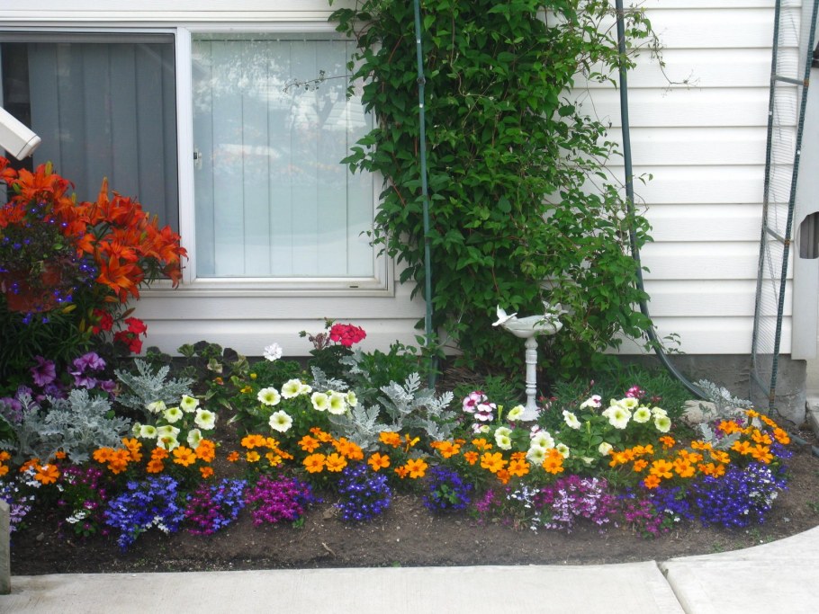 Палисадник под окном