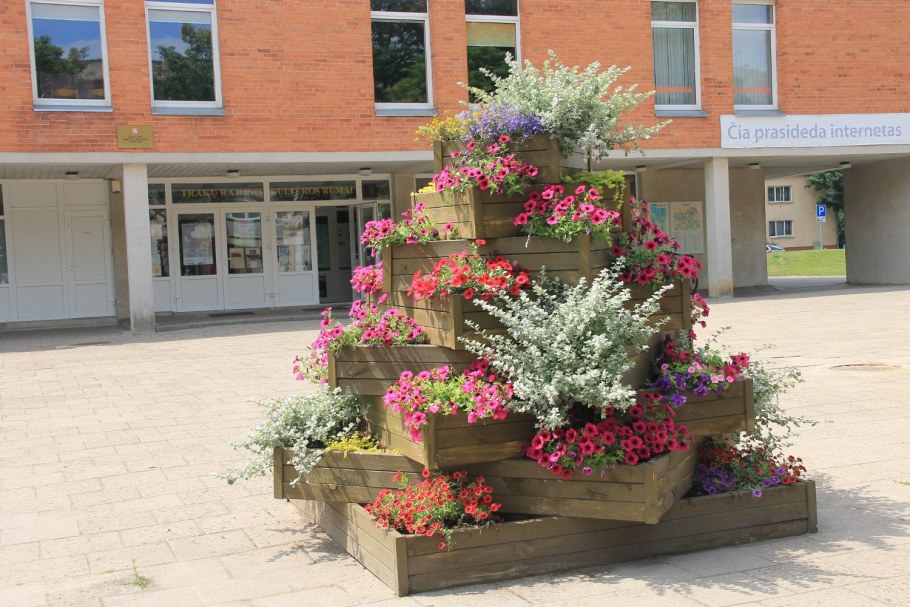 Цветочные клумбы около школы