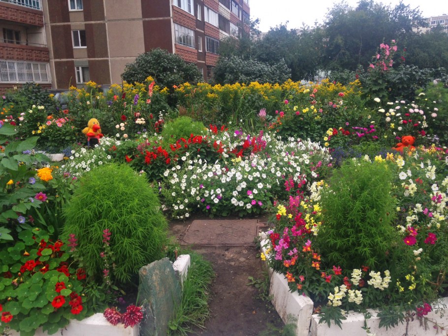 Цветочные клумбы возле подъезда