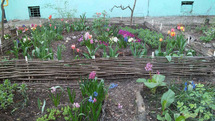 Клумбы из покрышек у подъезда