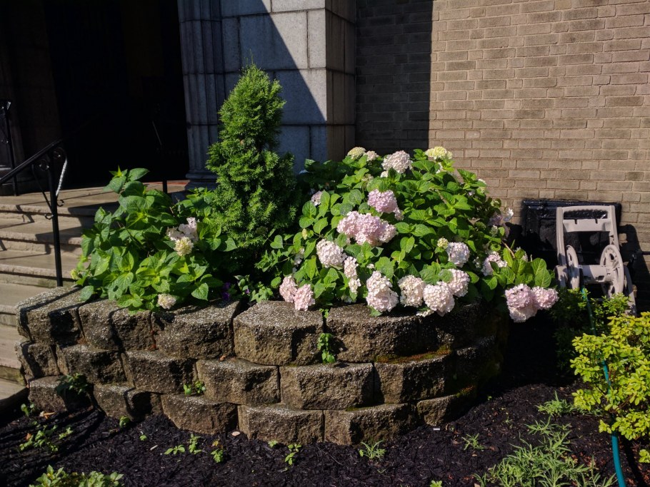 Цветник у подъезда