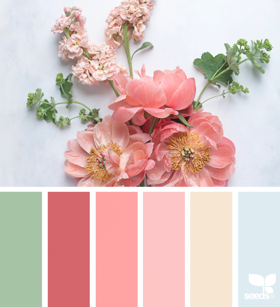 Персиковый цвет в интерьере