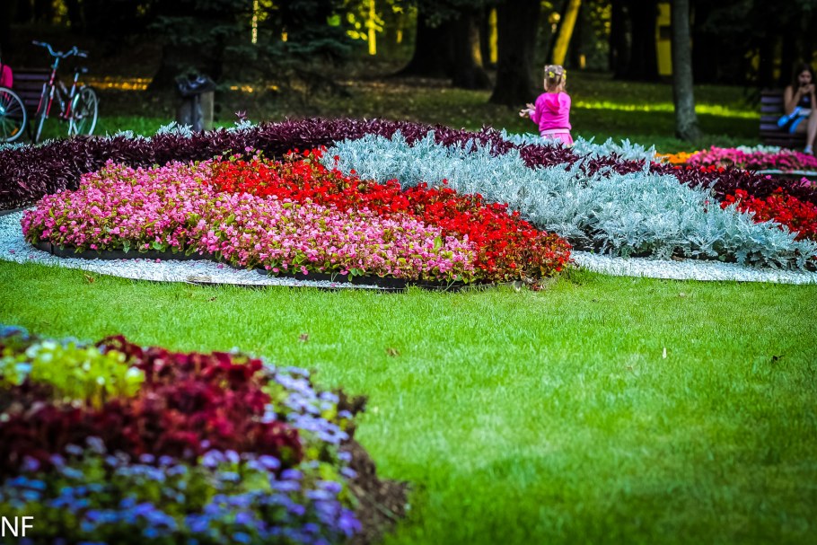 Приусадебный участок