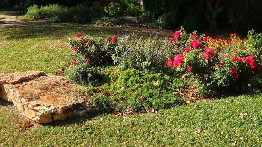 Цифры из цветов на клумбе