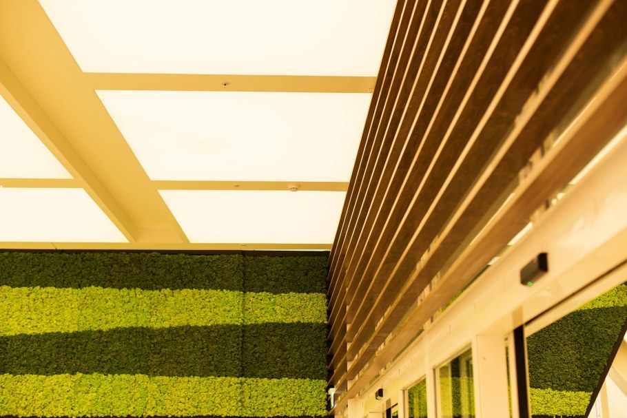 Ламели на стену