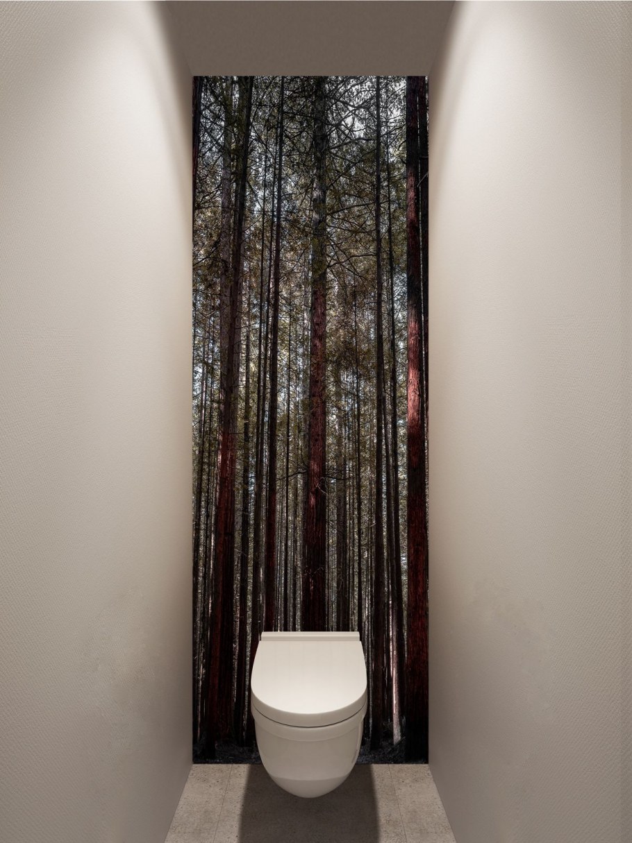 Фотообои в туалете