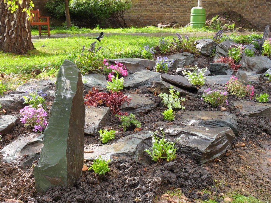 Рокарий собачья могилка