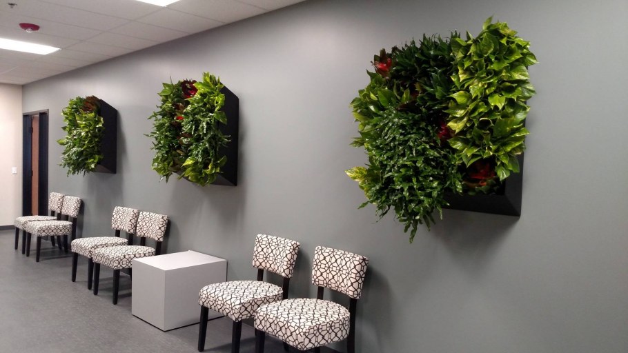 Интерьер с цветами комнатными