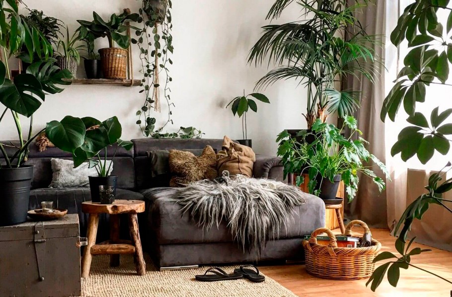 Декор интерьера