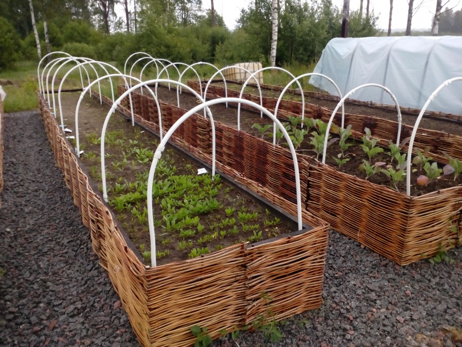 Плетеные ограждения для клумб