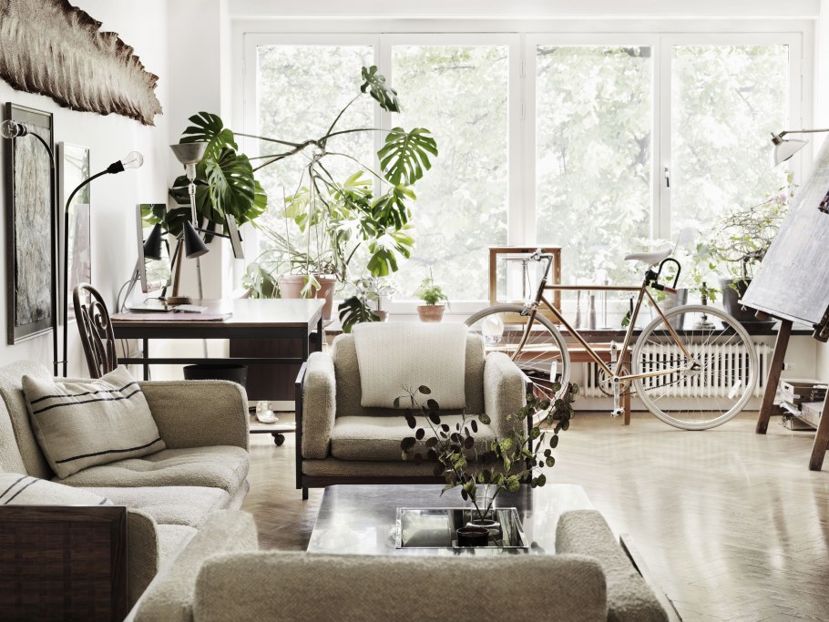 Монстера в скандинавском интерьере