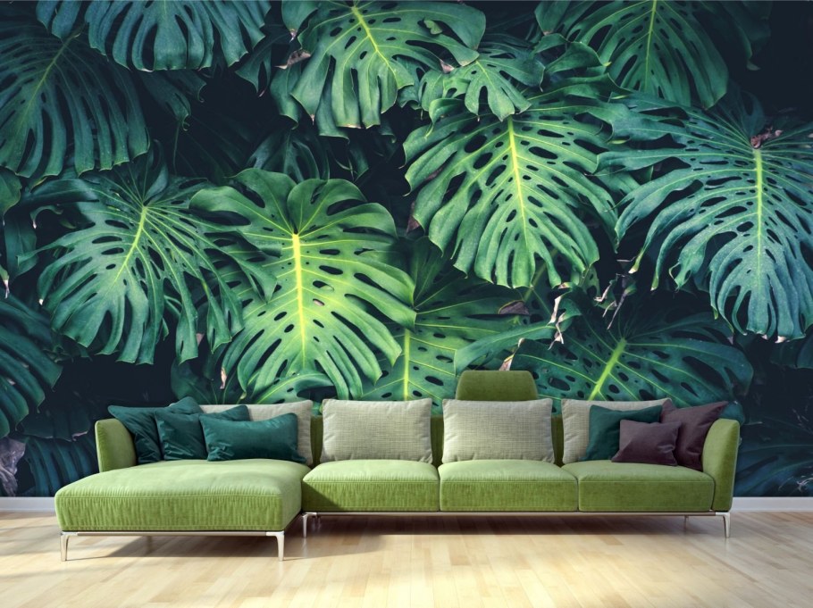 Фотообои монстера