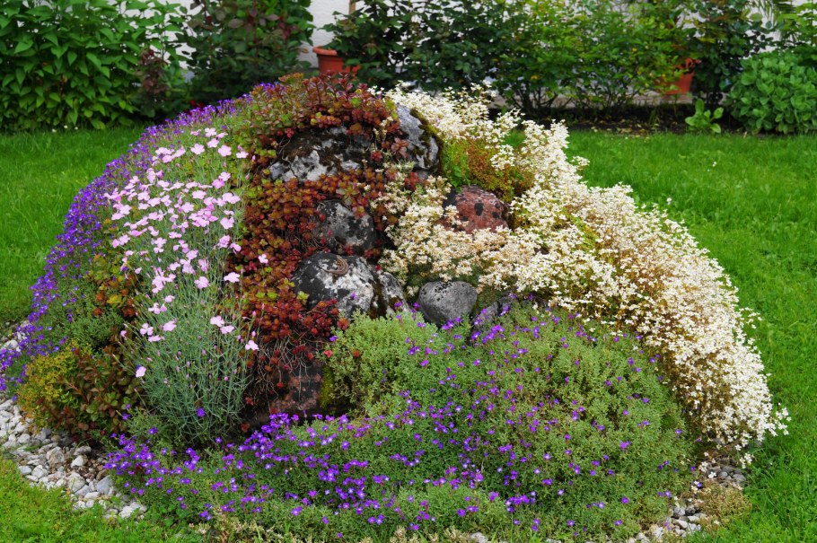 Рокарий горный ручей