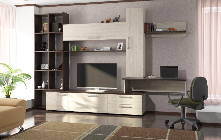 Встроенный шкаф-купе в гостиную