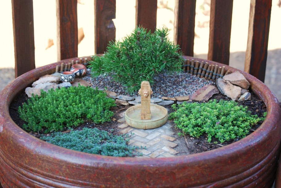 Японский садик в горшке