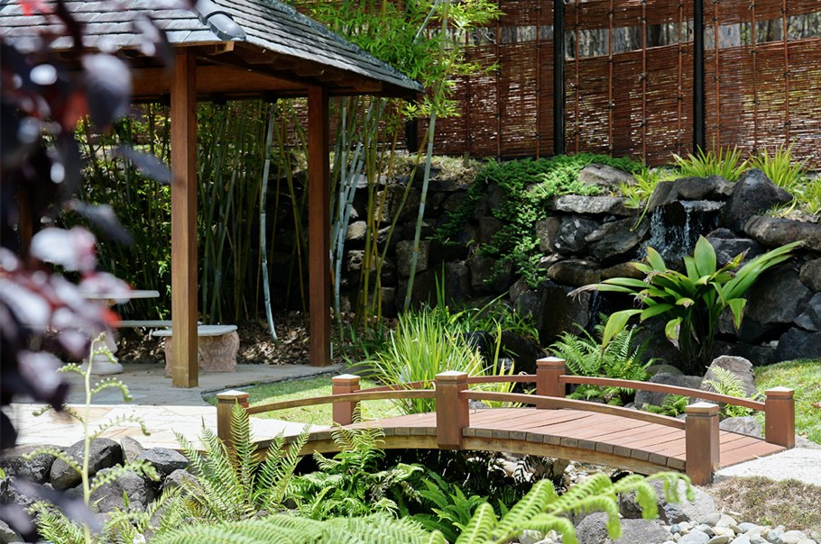 Гров бонсай