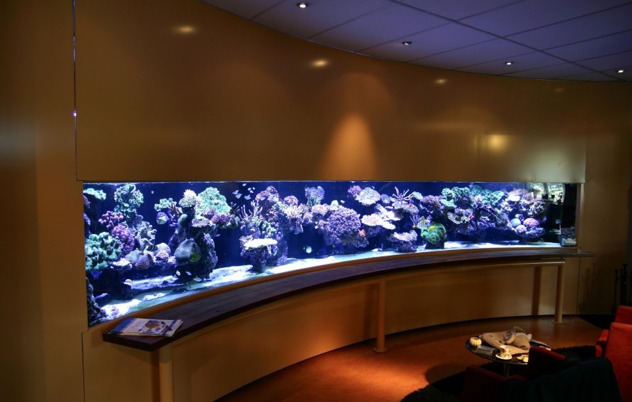 Красивые аквариумы