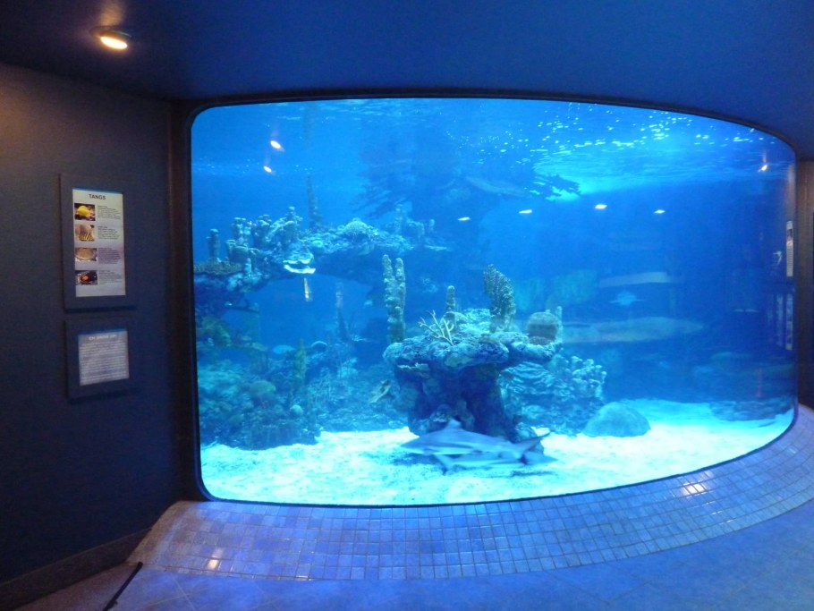 Гигантский аквариум
