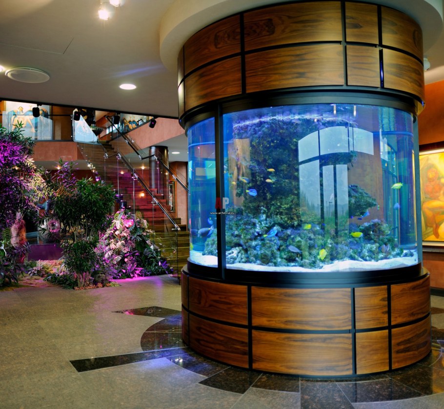 Цилиндрический аквариум в интерьере