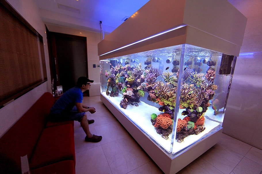 Большие морские аквариумы