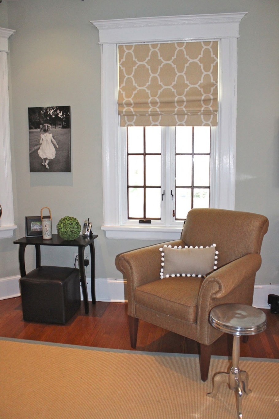 Римские шторы в гостиной