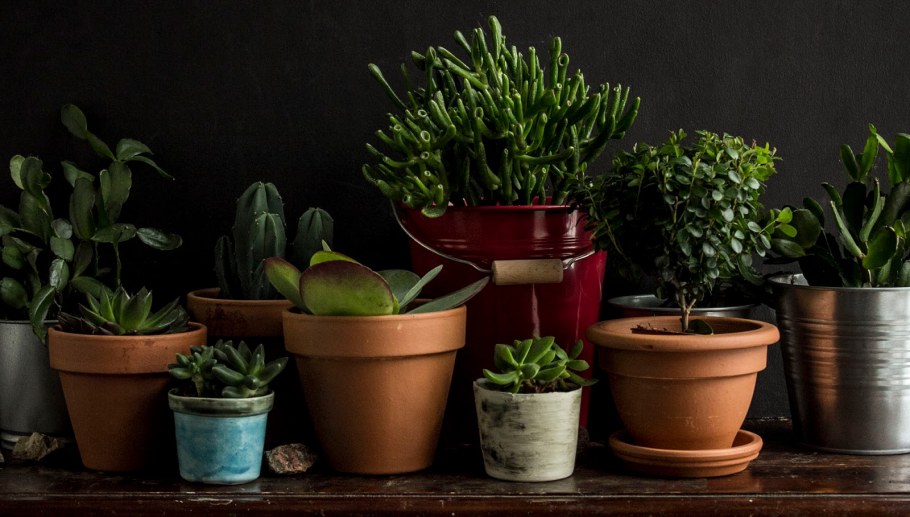 Плед и кофе