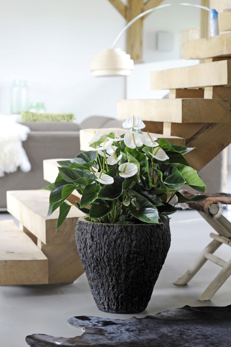 Вазон для антуриума