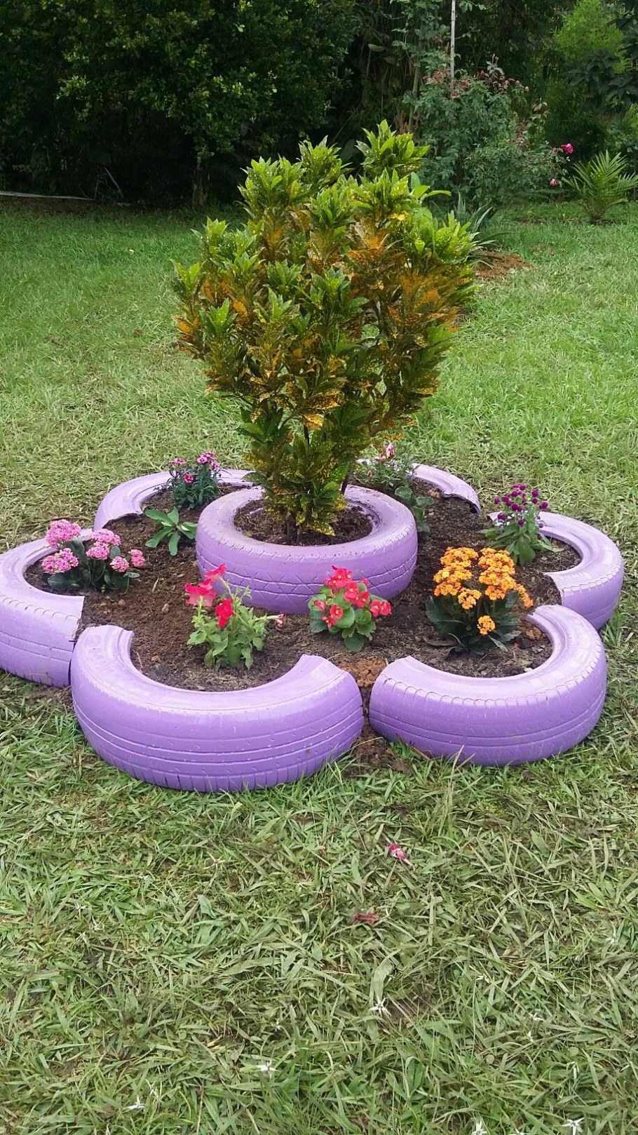 Красивые клумбы из колес