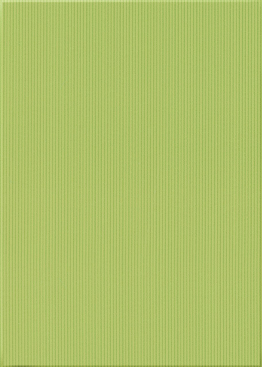 Плитка Bambus Paradyz