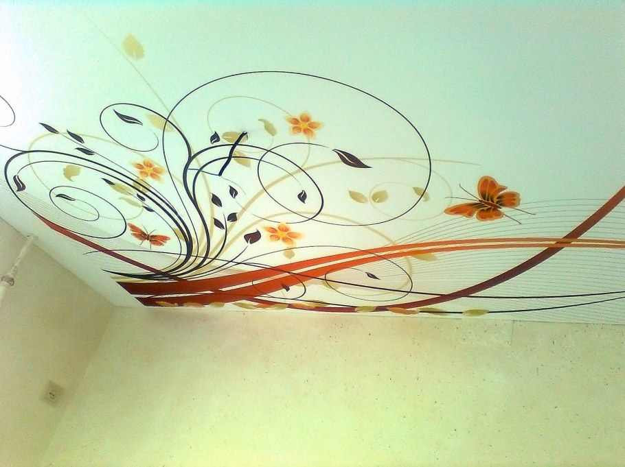 Натяжные потолки с фотопечатью бабочки