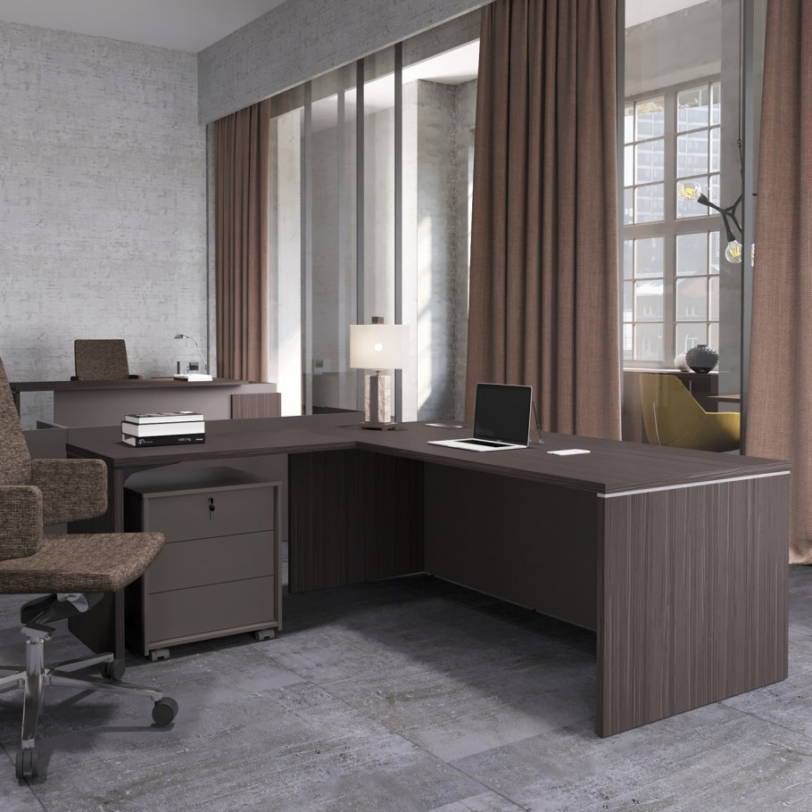 Кабинет руководителя зум