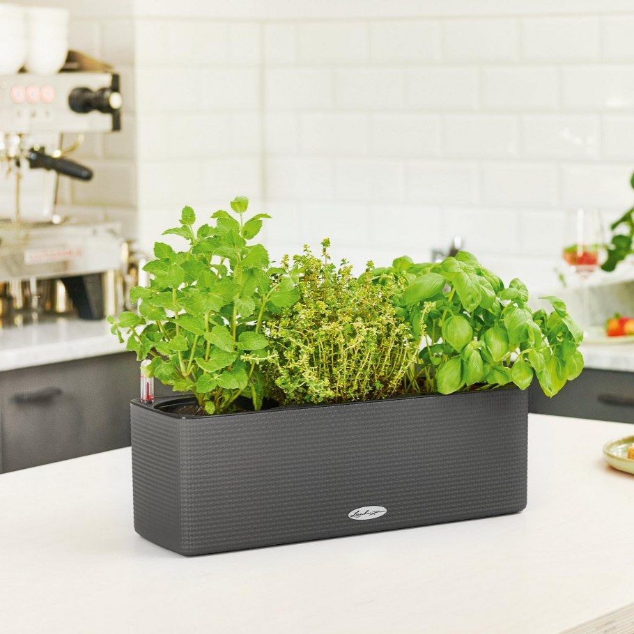 Кашпо Лечуза Lechuza с автополивом