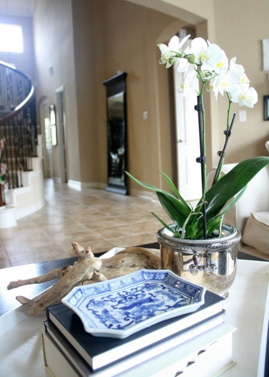 Орхидеи в современном интерьере