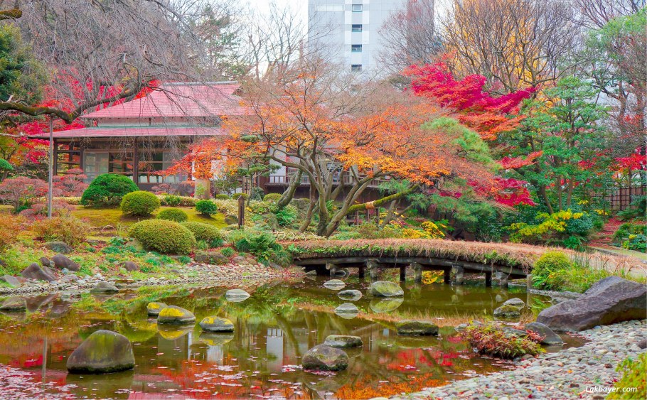 Чайный сад в Сан Франциско