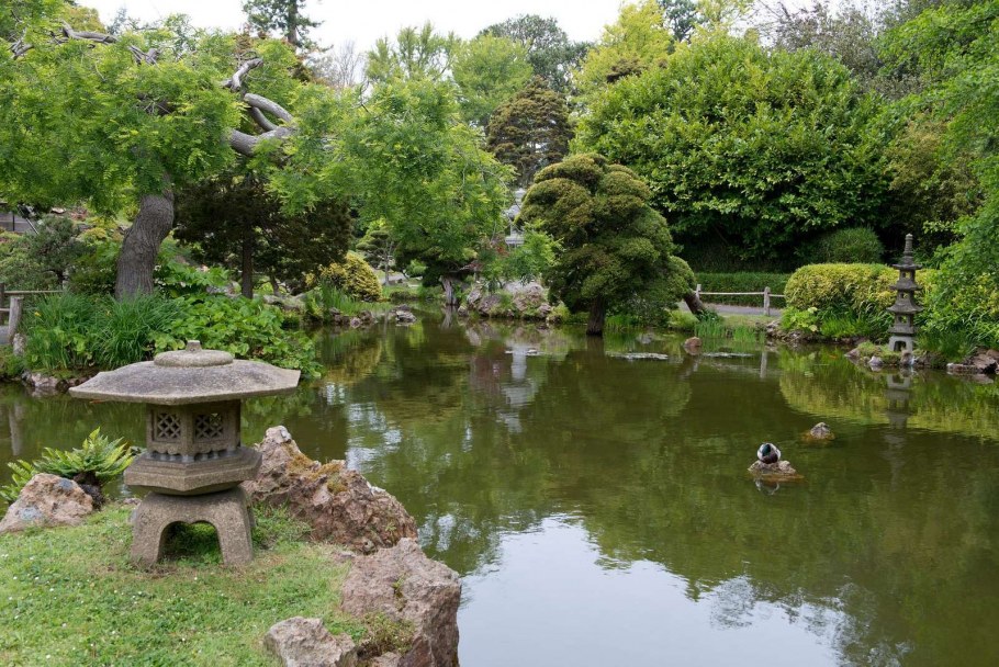 Японский сад ассиметрия