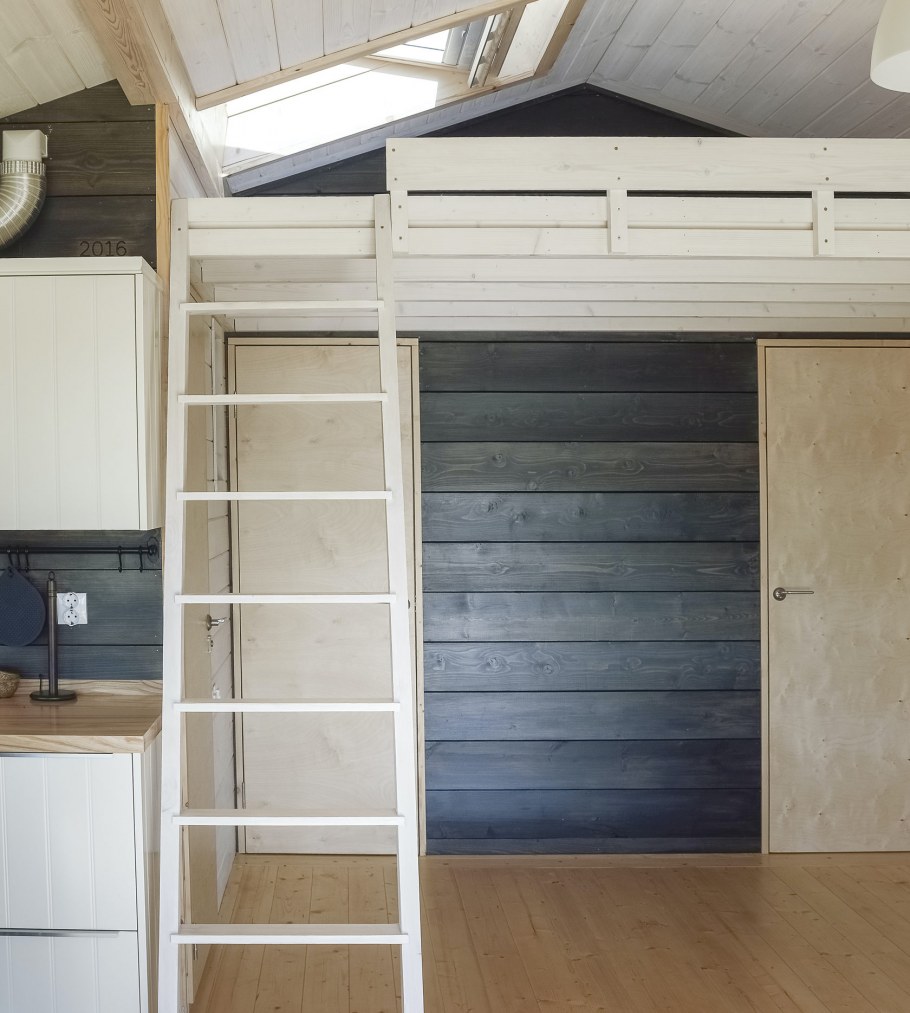 ДД 101 ДУБЛЬДОМ