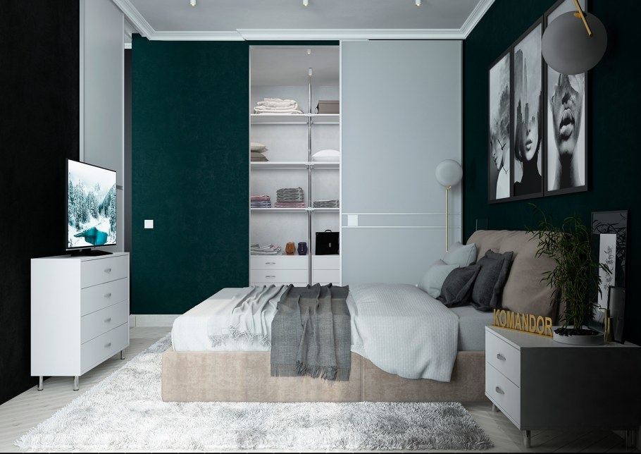 Шкаф купе белый Фуджи черный профиль