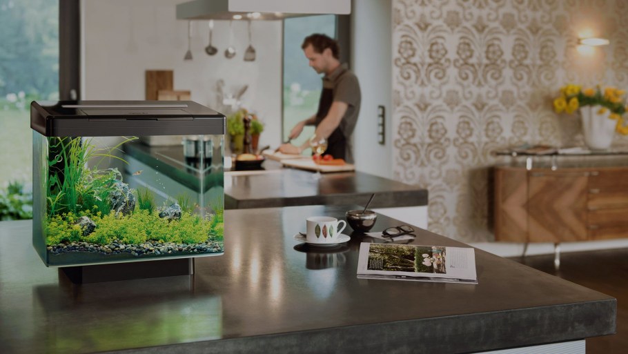 Аквариум в интерьере кухни