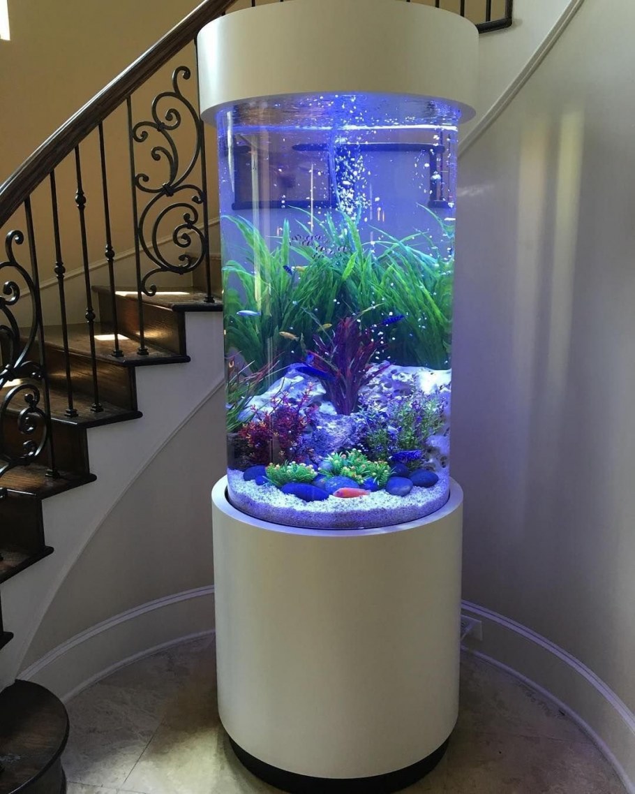 аквариум в маленькой квартире