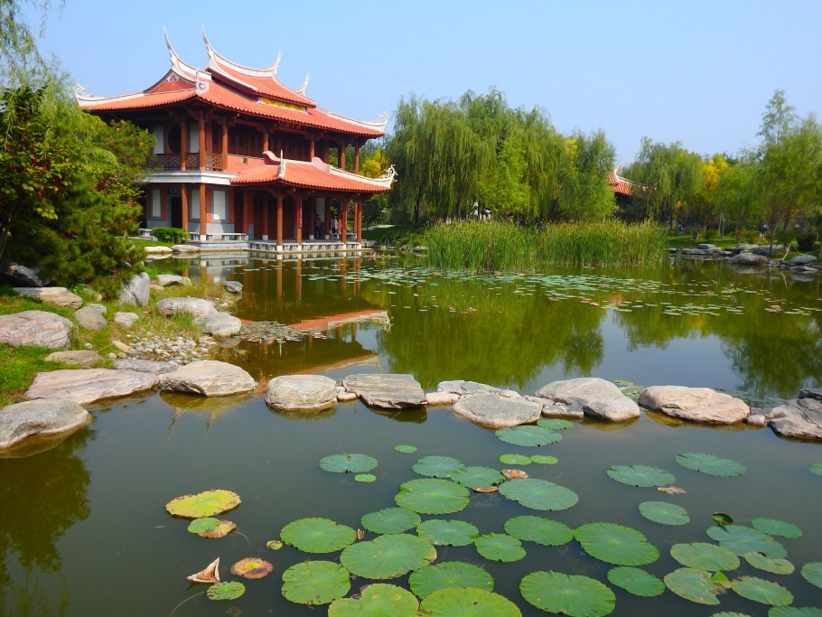 Химки японский парк Куркино