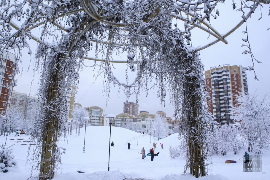 Джанфранко Куркино