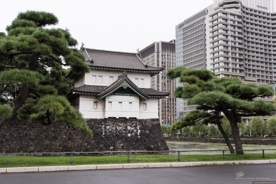 Дизайн интерьера квартиры Куркино