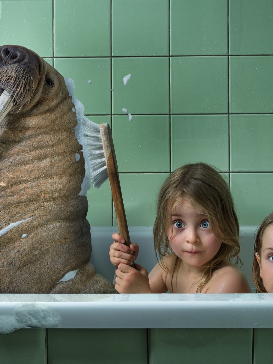 Девочка морж