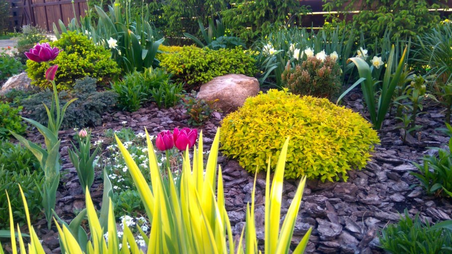 Моноклумба клумба