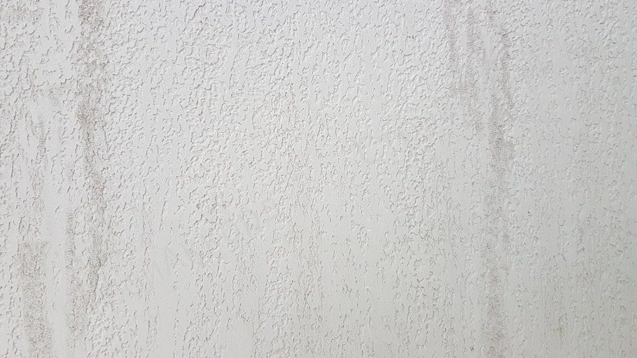 Штукатурка короед текстура бесшовная