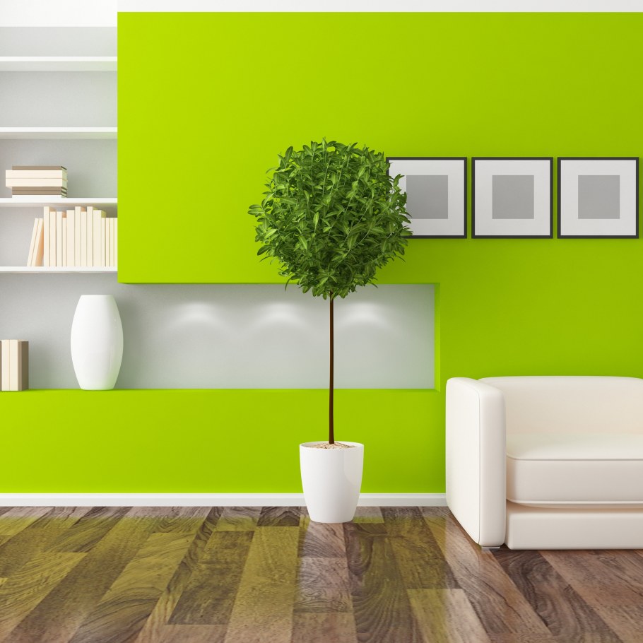 Обои лаймового цвета