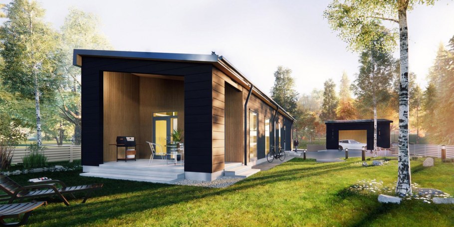 Барнхаус одноэтажный с односкатной